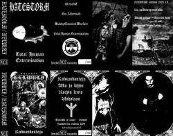 Hatestorm : Hatestorm - Helwulf
